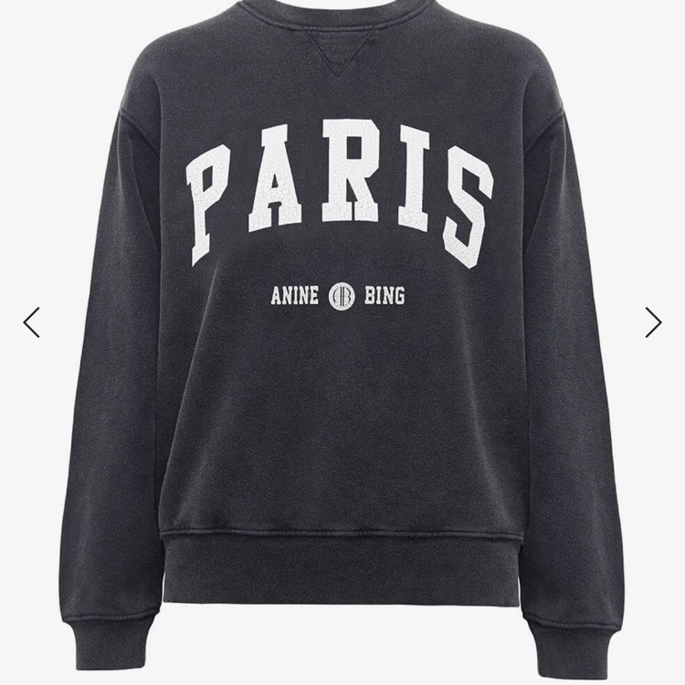 Ramona sweatshirt size medium Anine Bing Paris
